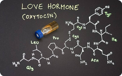 Estructura bioquímica de la oxitocina