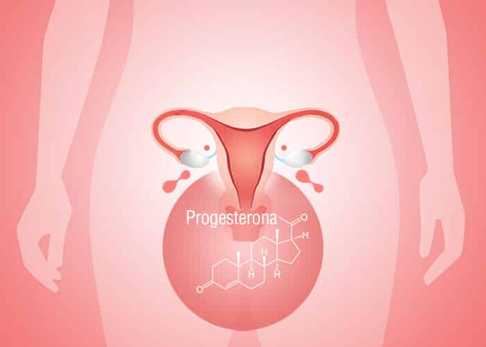 La progesterona