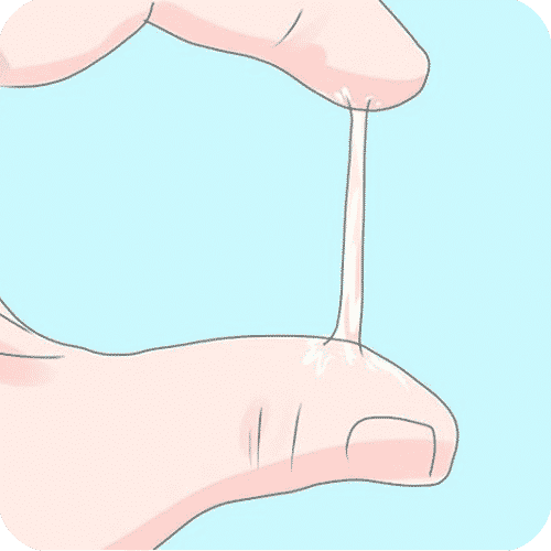 Determinar las características del moco cervical como método anticonceptivo
