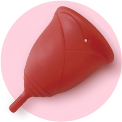 Landing Page Sileu Rose 7 Landing Page Sileu Rose copa sileu rose roja 400x