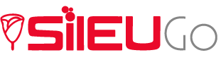 Landing Sileu Go 1 Landing Sileu Go sileugo logo 311x95 1
