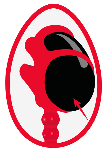 LANDING PAGE - SILEU KEGEL 6 LANDING PAGE - SILEU KEGEL INSTRUCCIONES 2 a