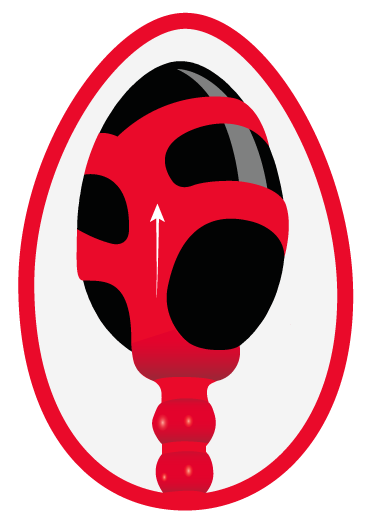 LANDING PAGE - SILEU KEGEL 7 LANDING PAGE - SILEU KEGEL INSTRUCCIONES 3 a