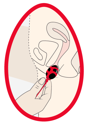 LANDING PAGE - SILEU KEGEL 8 LANDING PAGE - SILEU KEGEL INSTRUCCIONES 4 a
