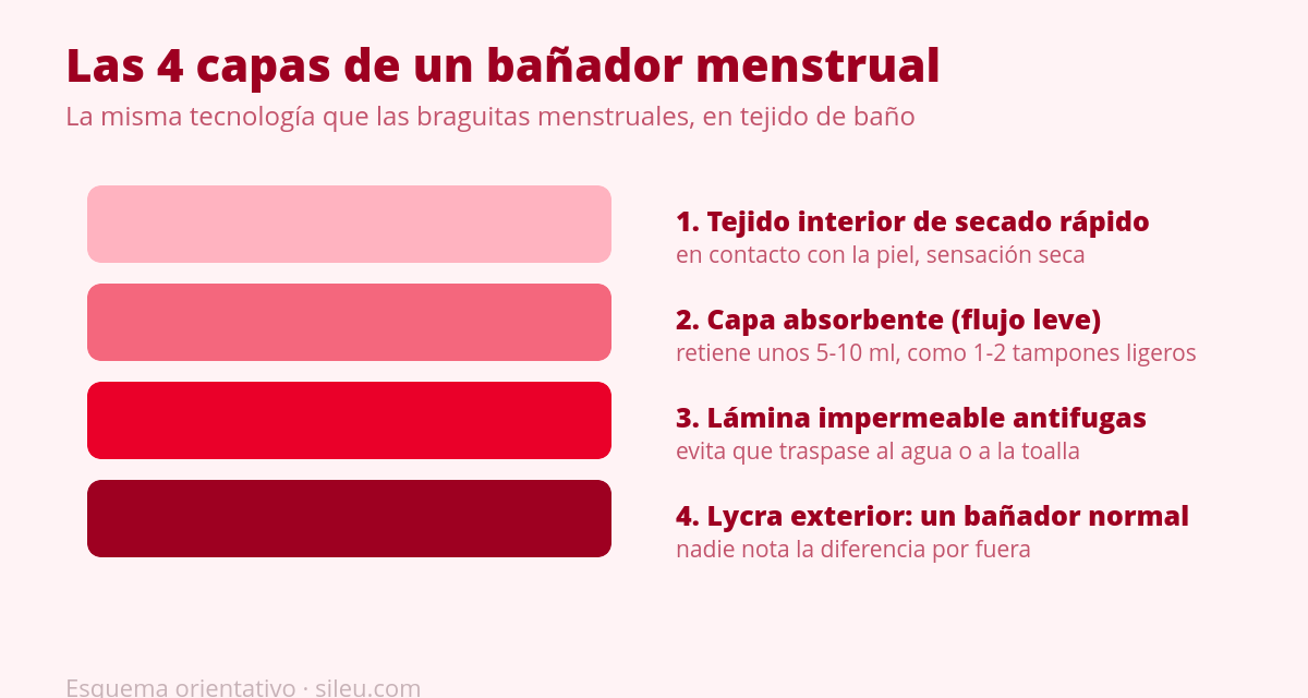 Bañador menstrual: cómo funciona y cuándo tiene sentido 1 Diagrama de las 4 capas de un bañador menstrual y cómo funciona cada una