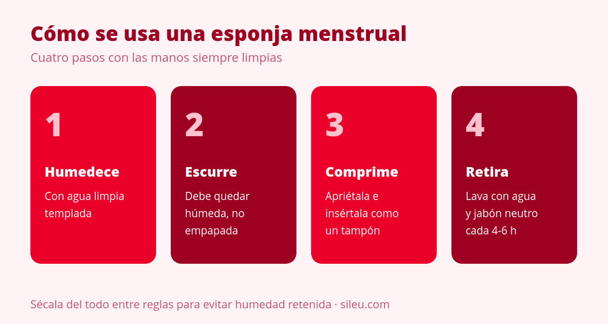 Esponja menstrual: qué es, cómo se usa y cuándo tiene sentido 1 Cómo se usa una esponja menstrual en cuatro pasos