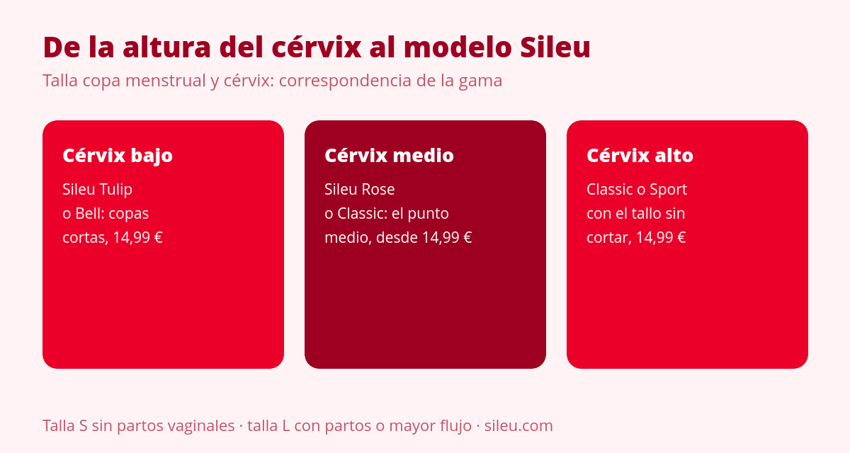 Localiza tu cérvix y elige modelo y talla de copa 2 Tabla de talla de copa menstrual según altura del cérvix y modelo Sileu recomendado