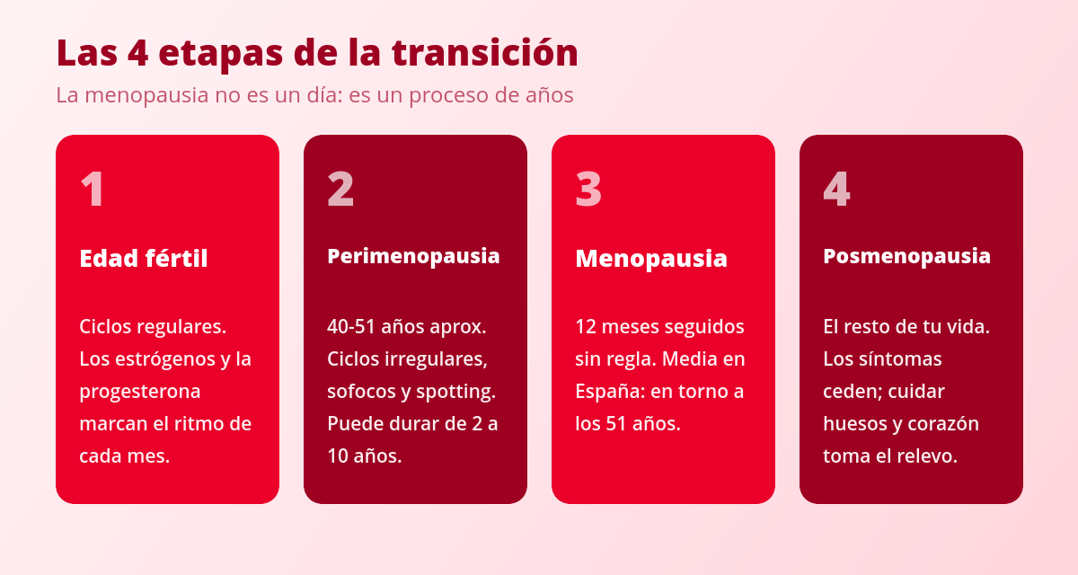 Todo sobre la Menopausia, Síntomas y trucos para aliviarlos 1 Etapas de la menopausia: de la edad fértil a la posmenopausia con sus síntomas
