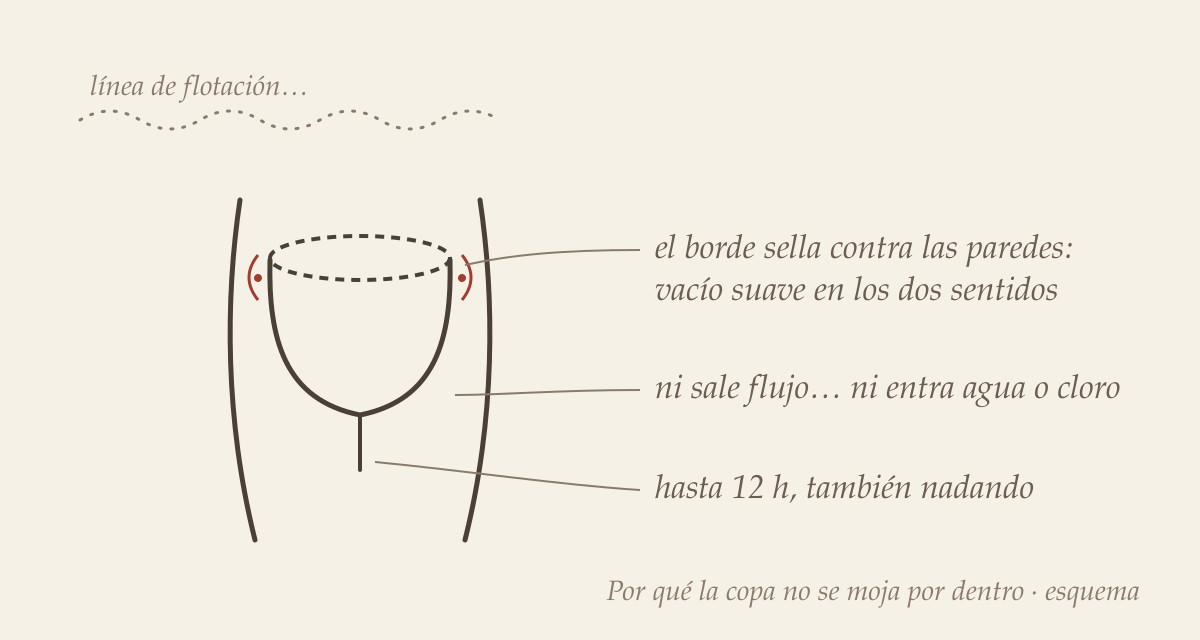 Copa menstrual en los días de playa o piscina 1 Esquema del sello de vacío de la copa menstrual para nadar con la regla