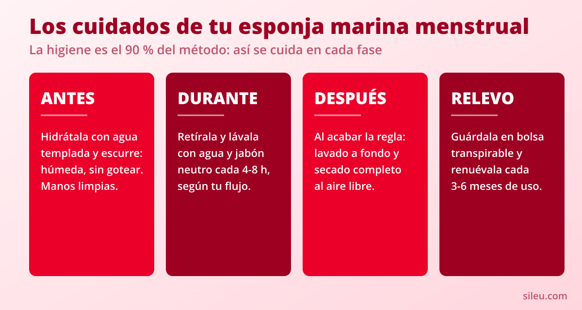 Esponja marina menstrual natural: origen, higiene y cuidados 2 Cuidados de la esponja marina menstrual en cuatro fases: antes, durante, después y relevo