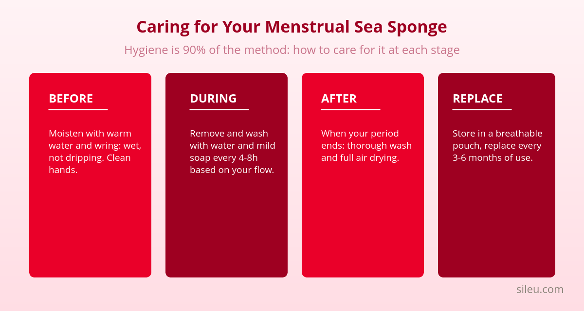 Natural Menstrual Sea Sponge: Origin, Hygiene, and Care 2 Menstrual sea sponge care in four phases: before, during, after, and replacement