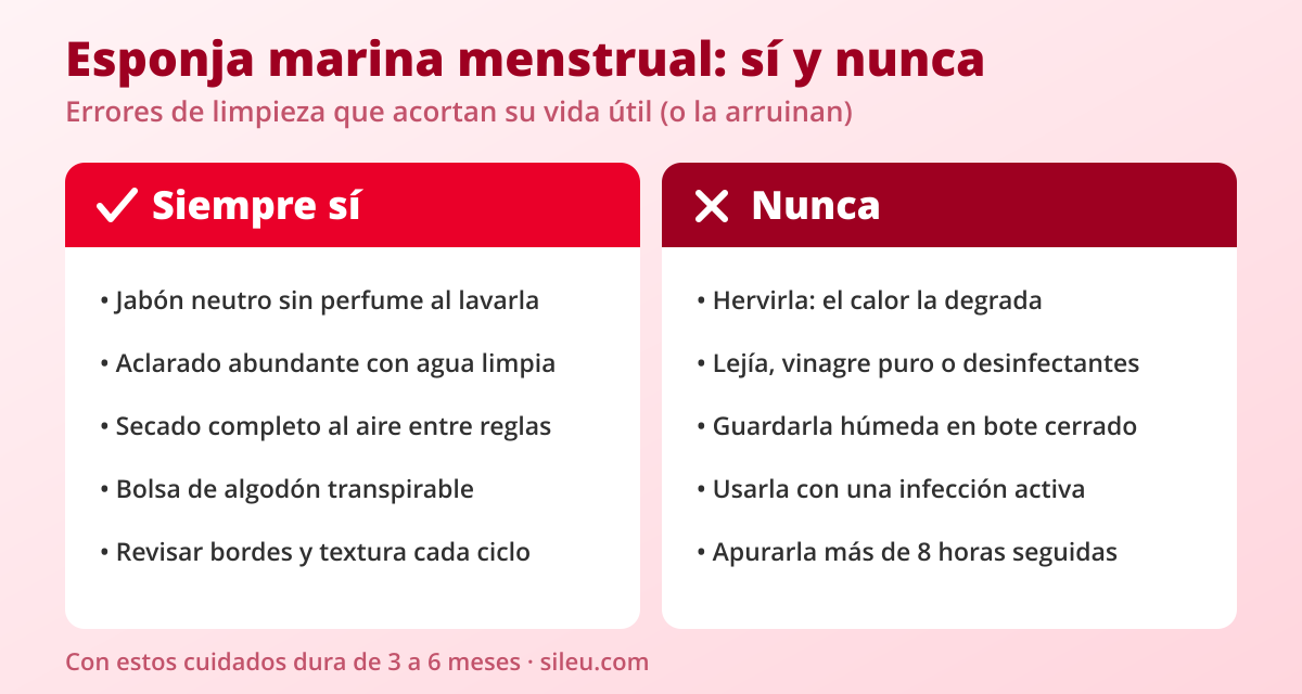 Esponja marina menstrual natural: origen, higiene y cuidados 3 Tabla de cuidados de la esponja marina menstrual: qué hacer siempre y qué no hacer nunca