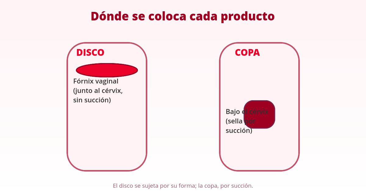 Disco menstrual o copa: cuál elegir según tu anatomía y rutina 1 Diagrama comparativo: dónde se coloca el disco menstrual frente a la copa menstrual dentro del canal vaginal