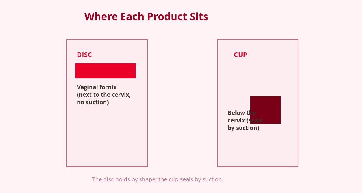 Menstrual Disc or Cup: Which to Choose Based on Your Anatomy and Routine 1 Comparison diagram: where a menstrual disc sits vs. a menstrual cup inside the vaginal canal