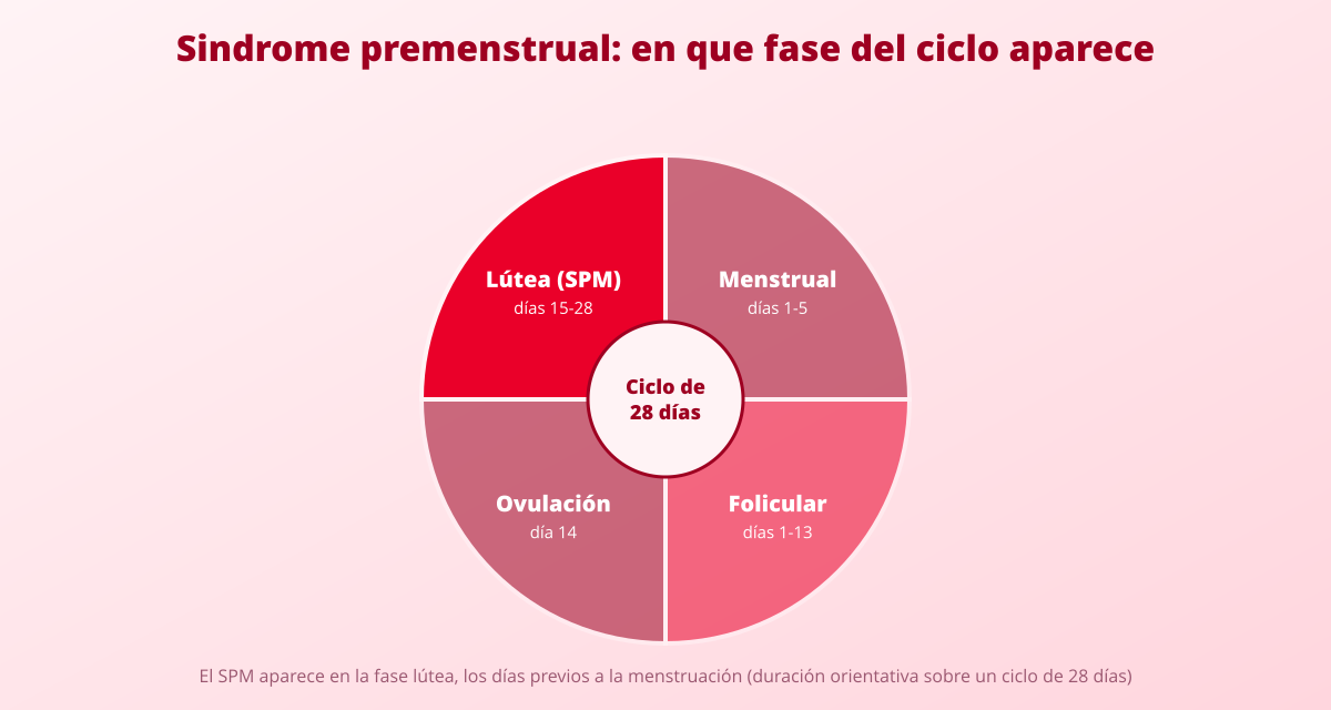 Síndrome Premenstrual (SPM): ¿Cómo lidiar con los síntomas premenstruales? 1 sindrome premenstrual fases del ciclo menstrual y fase lutea