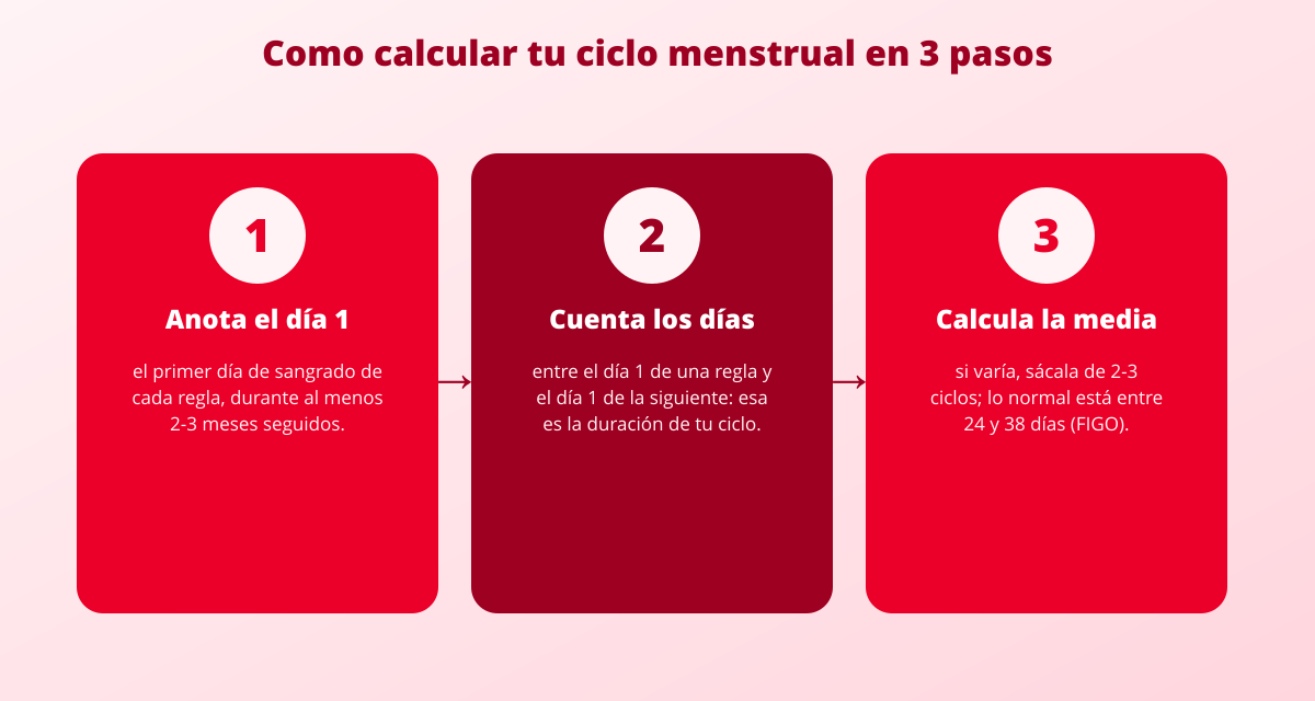 Claves sobre el ciclo menstrual y cómo calcular tu ciclo 2 calcular ciclo menstrual paso a paso