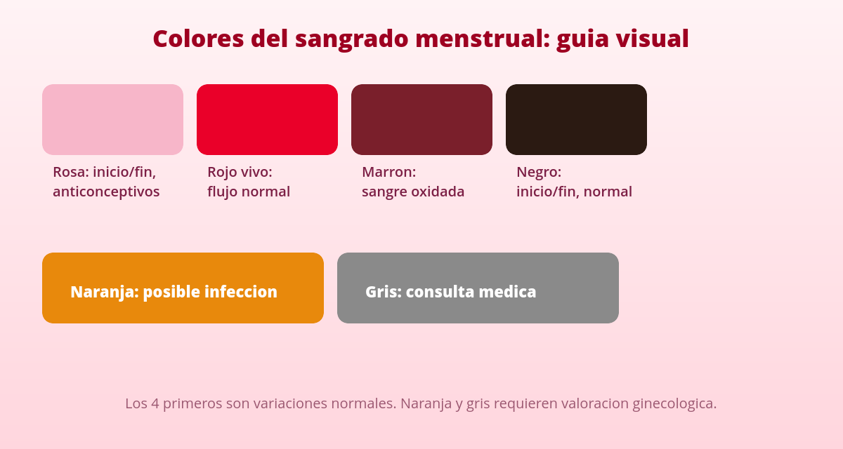 Sangrado menstrual: colores y significados 1 Colores del sangrado menstrual y su significado