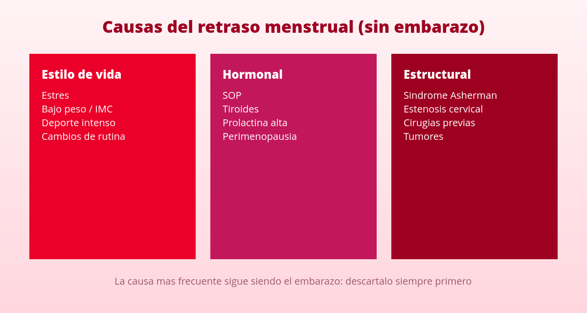 Retraso menstrual: ¿Por qué no me baja la regla si no estoy embarazada? 1 Causas del retraso menstrual sin embarazo