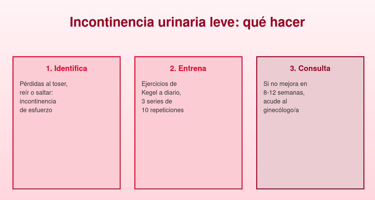 Incontinencia urinaria leve: por qué pasa y cómo mejorarla 1 Incontinencia urinaria leve: cómo identificarla, entrenarla y cuándo consultar
