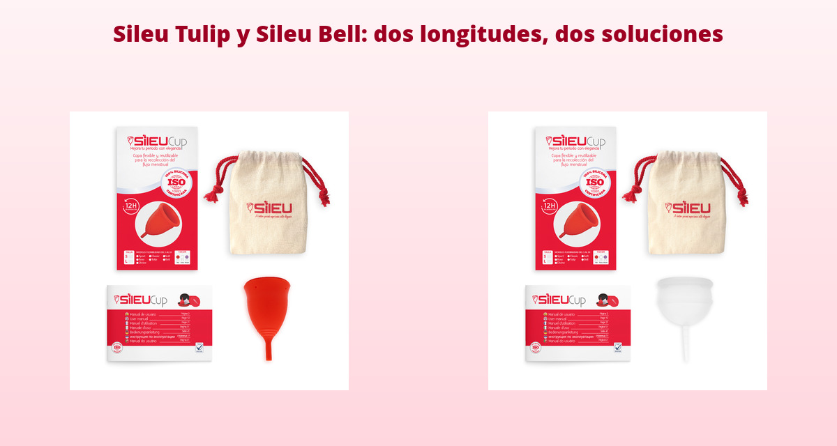 Longitud vaginal y el modelo de copa menstrual más adecuado para ti 2 Sileu Tulip y Sileu Bell según longitud vaginal copa menstrual