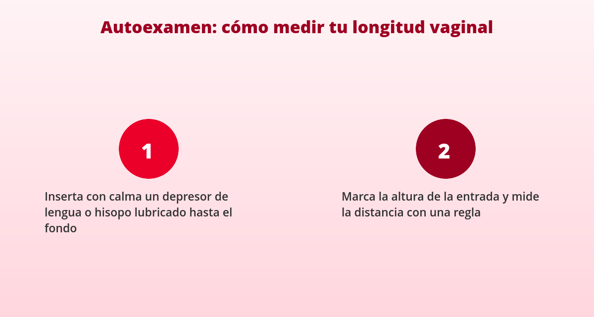 Longitud vaginal y el modelo de copa menstrual más adecuado para ti 3 Cómo medir la longitud vaginal en casa para elegir copa menstrual