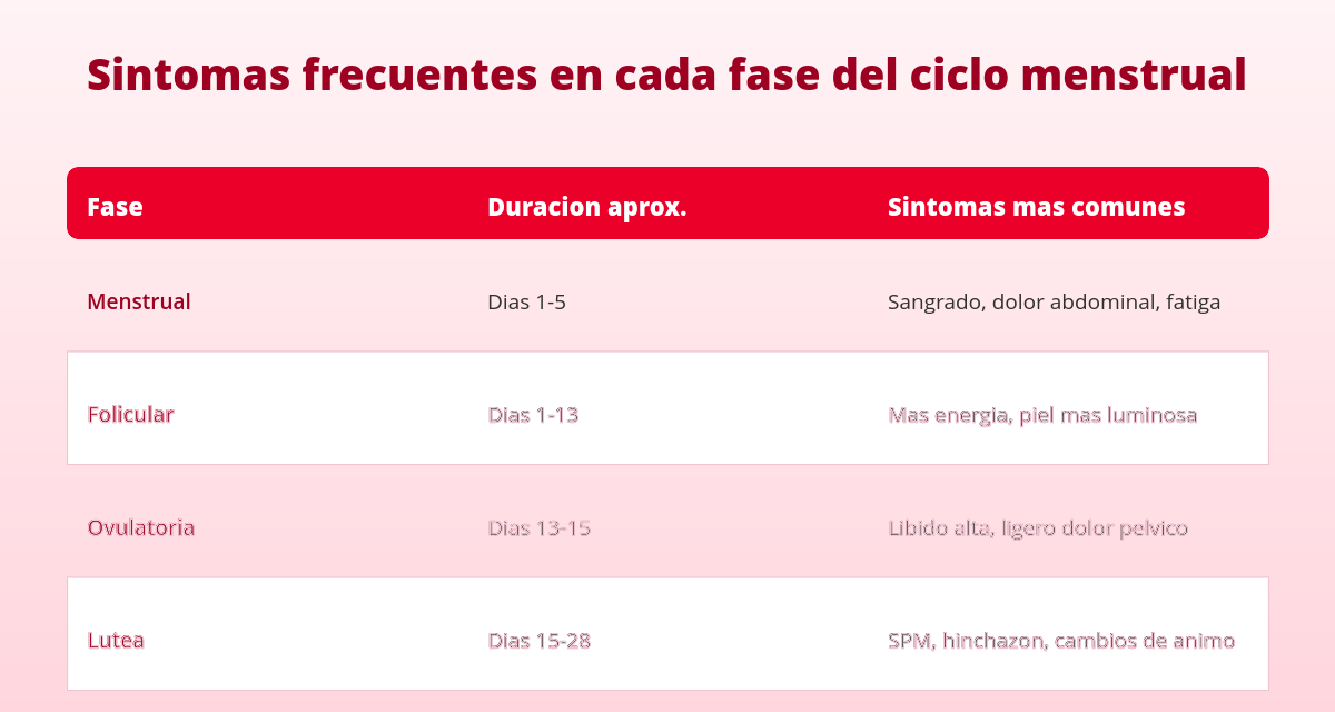 Las 4 fases del ciclo menstrual explicadas (con síntomas de cada una) 2 fases del ciclo menstrual tabla de sintomas