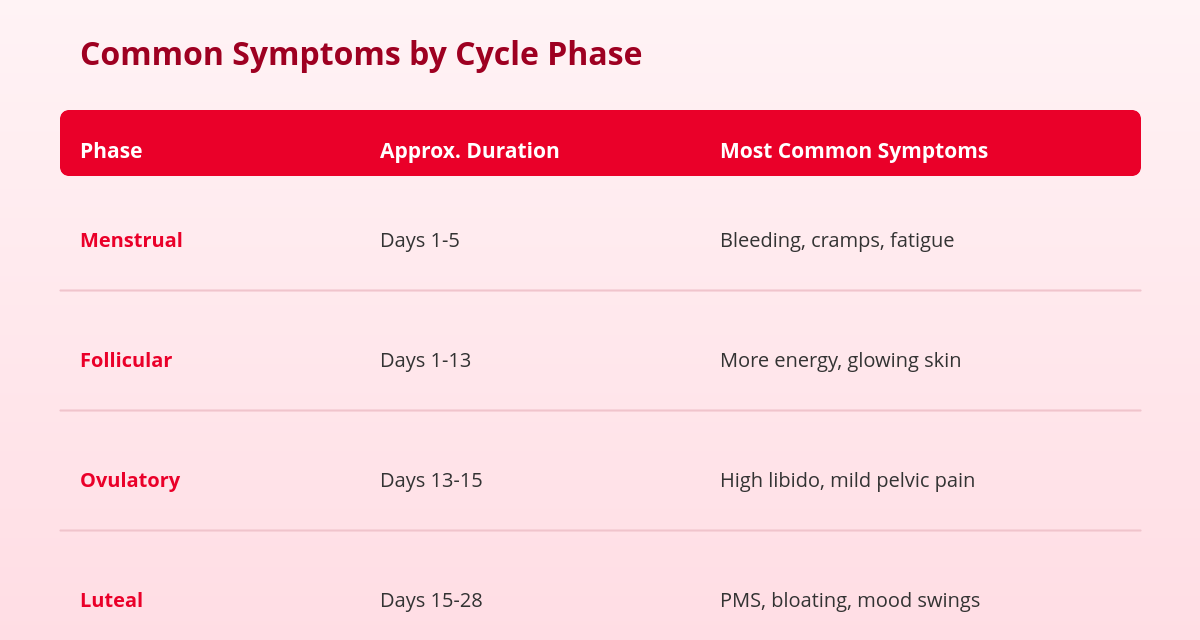 The 4 Phases of the Menstrual Cycle Explained (With Symptoms) 2 menstrual cycle phases, symptom table