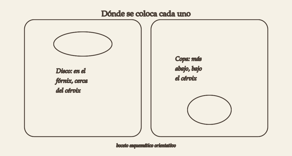 Disco menstrual: qué es, cómo funciona y en qué se diferencia de la copa 1 donde se coloca el disco menstrual frente a la copa menstrual