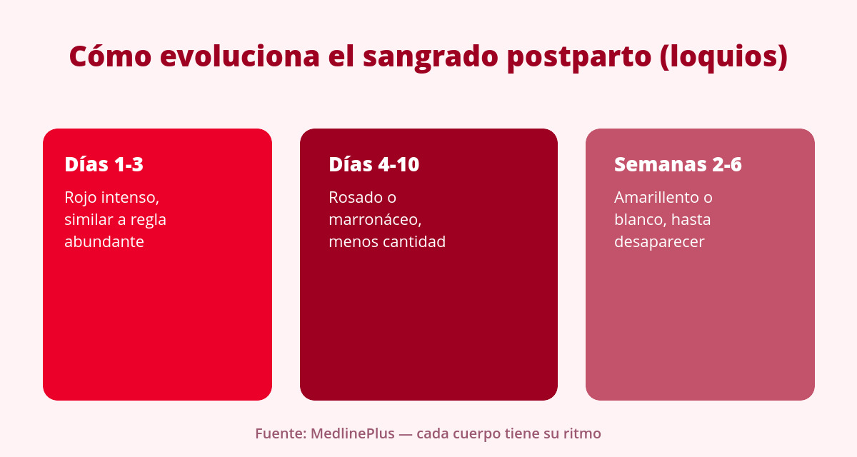 Compresas posparto: qué necesitas de verdad (y qué alternativas hay) 2 linea de tiempo del sangrado postparto y cuando cambiar las compresas postparto