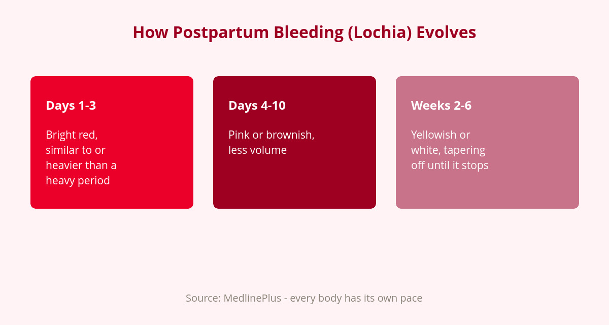 Postpartum Pads: What You Actually Need (and Alternatives) 2 timeline of postpartum bleeding and when to switch postpartum pads
