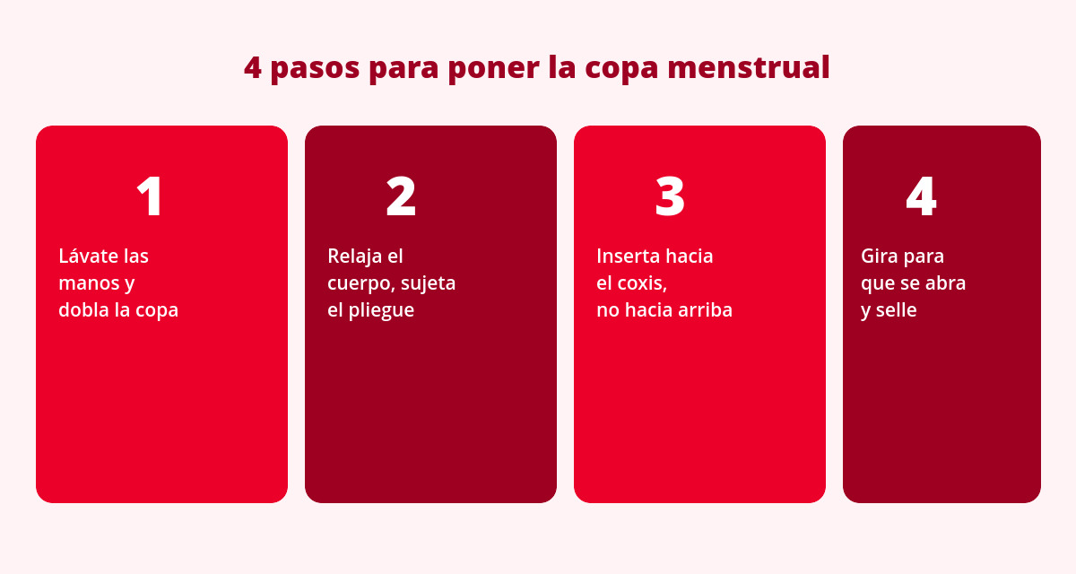 Cómo poner la copa menstrual paso a paso (sin dolor) 2 pasos para poner la copa menstrual correctamente