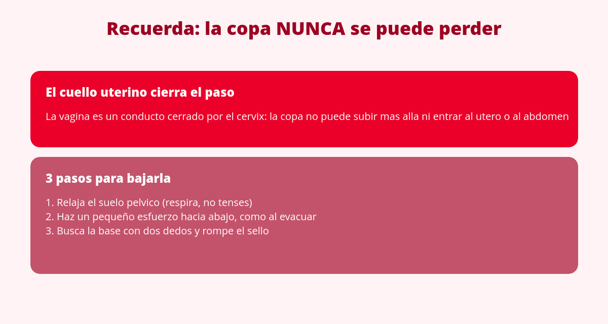 ¿Copa menstrual atascada en tu vagina? 1 copa menstrual atascada no se puede perder