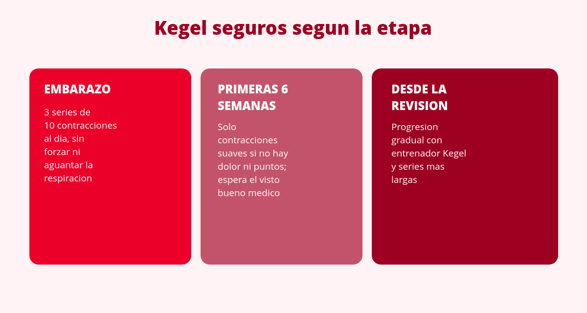 Pelvic Floor in Pregnancy and Postpartum: Safe Exercises 2 ejercicios suelo pelvico embarazo y posparto por etapas