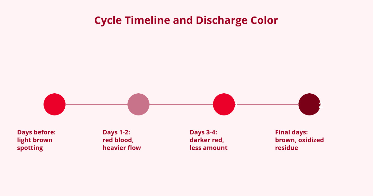 Brown Discharge: Why It Appears Before or After Your Period 1 brown discharge on the menstrual cycle timeline