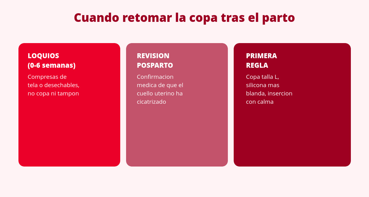 La copa menstrual después del parto natural (o por cesárea) 2 cuando retomar la copa menstrual tras el parto