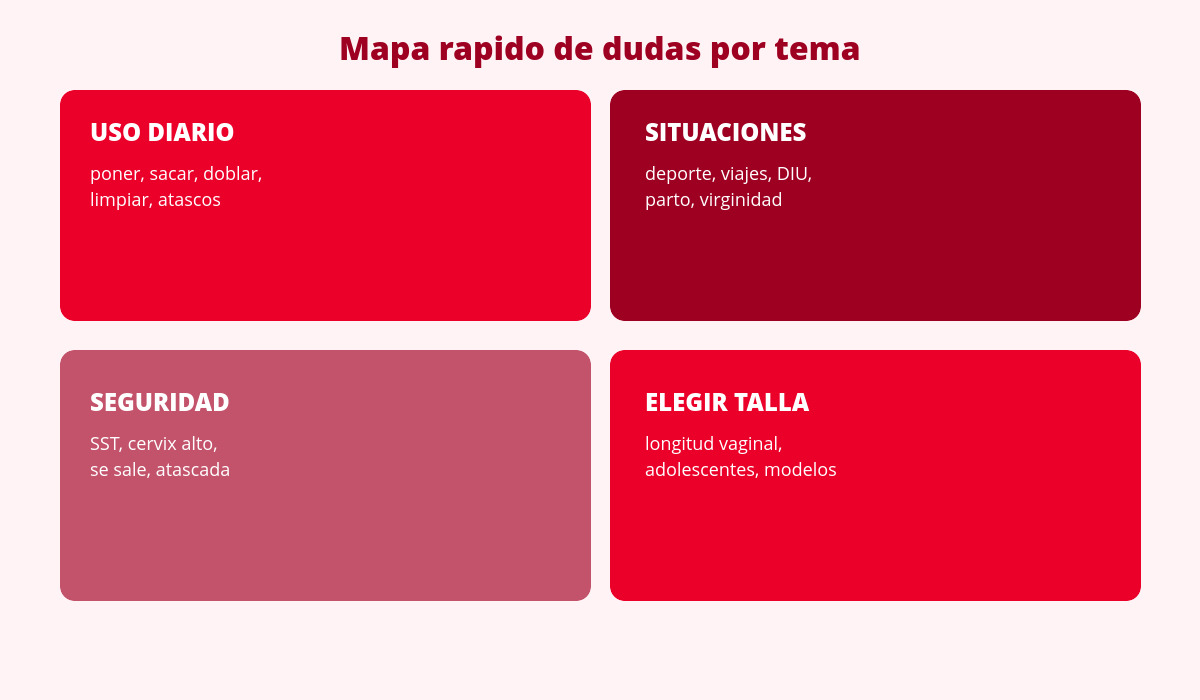Preguntas frecuentes sobre copas menstruales 2 mapa de preguntas sobre la copa menstrual por tema