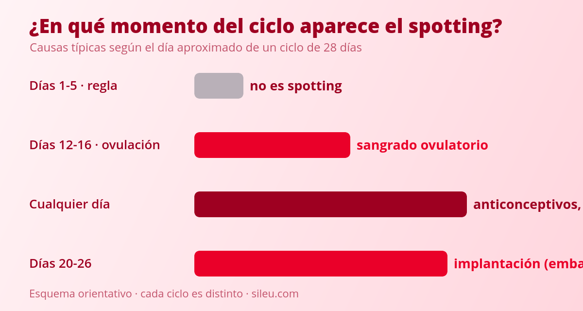 Spotting o sangrado intermenstrual: ¿Es normal sangrar entre reglas? 1 Esquema del ciclo menstrual con los momentos en los que suele aparecer el spotting