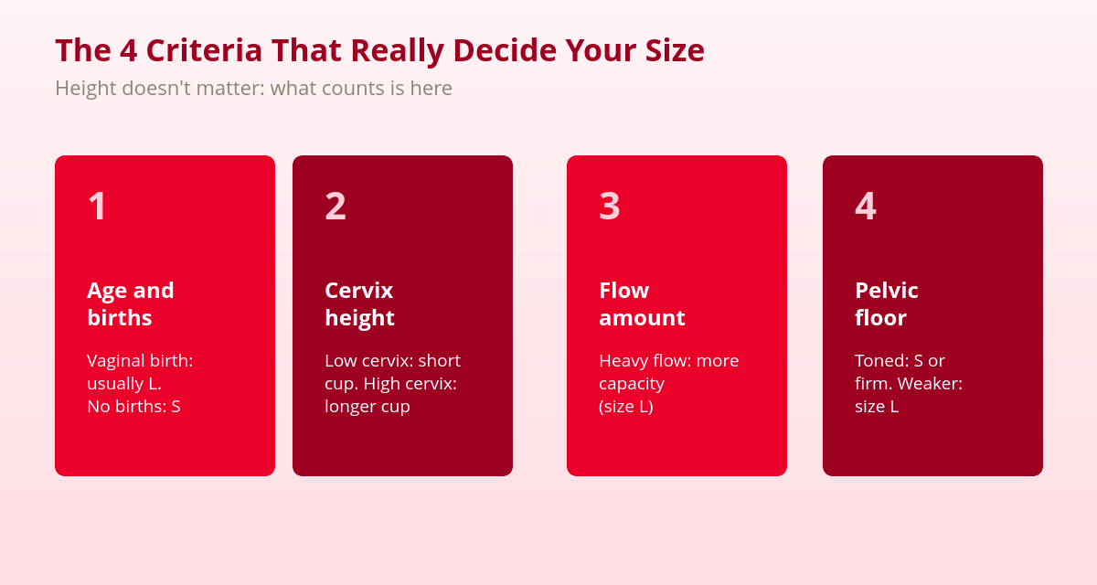 Menstrual Cup Sizes: A Real Guide to Getting It Right the First Time 2 The four criteria for choosing menstrual cup size: births, cervix, flow, and pelvic floor