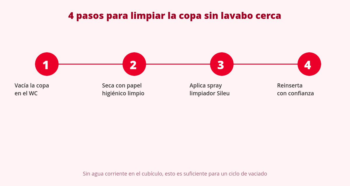 Cleaning the Menstrual Cup in Public Restrooms, Travel & Festivals 2 Diagrama: cómo limpiar la copa menstrual en un baño público sin lavabo